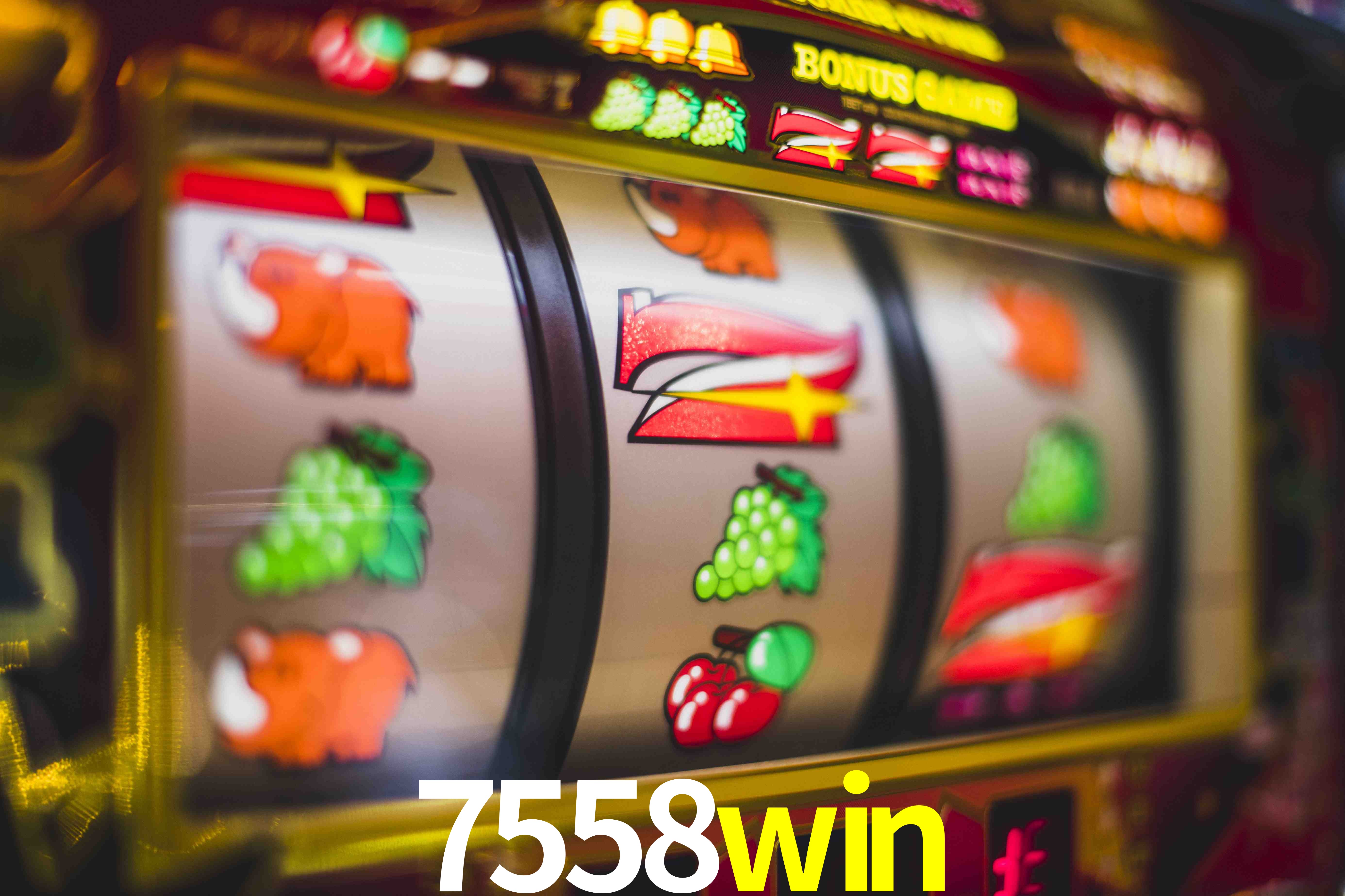 Experiência VIP 7558win